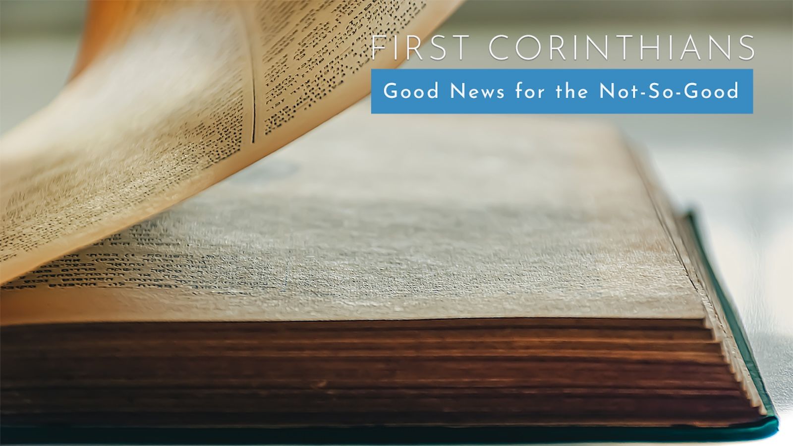 MEN AND WOMEN AND THE GLORY OF GOD 18 of 28